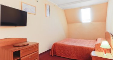 The suite