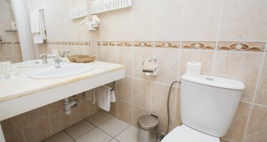 Double Room with One Double Bed