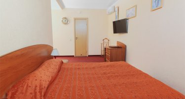 The suite