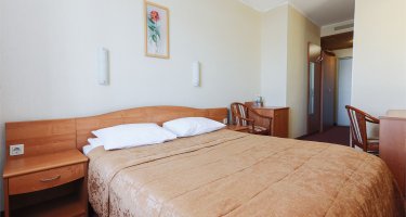 Double Room with One Double Bed