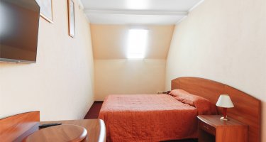 The suite